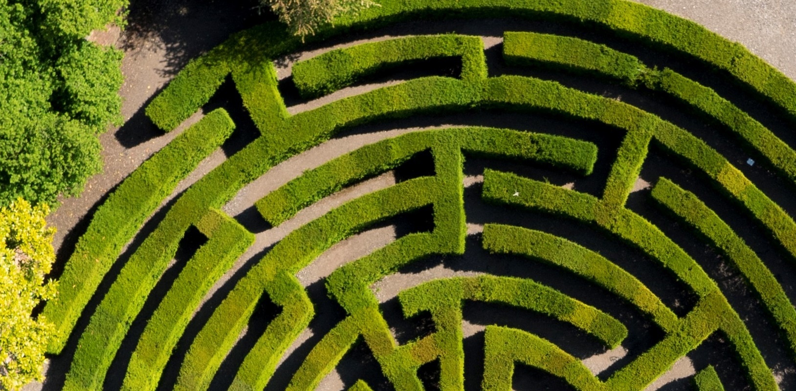 Maze_from_above